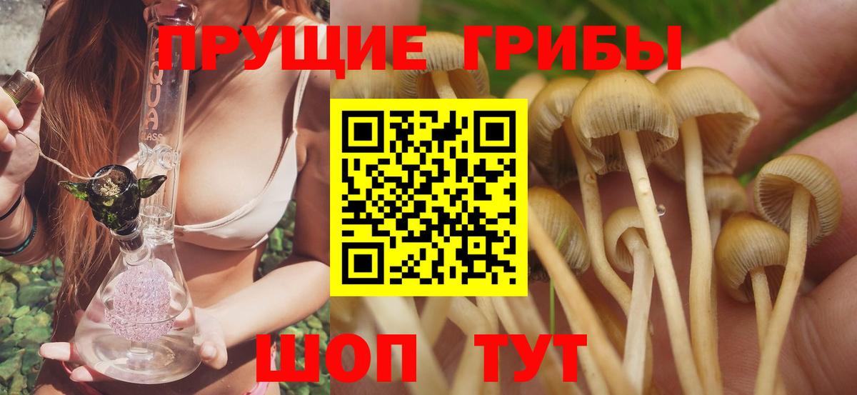 Псилоцибиновые грибы мицелий Александров